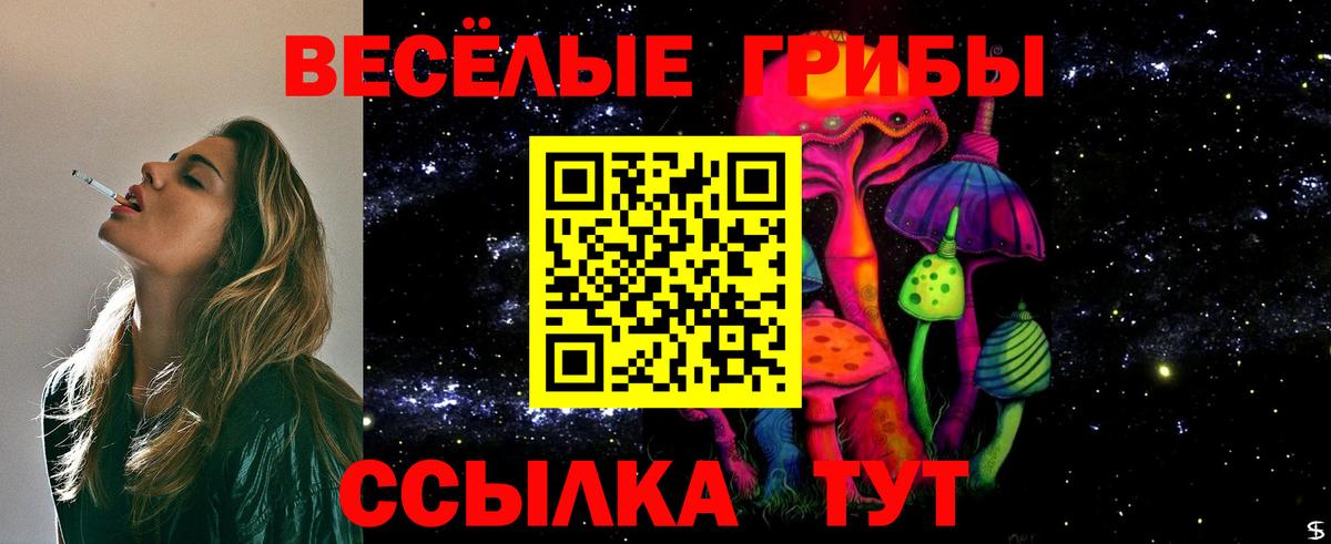 Псилоцибиновые грибы мухоморы Шали