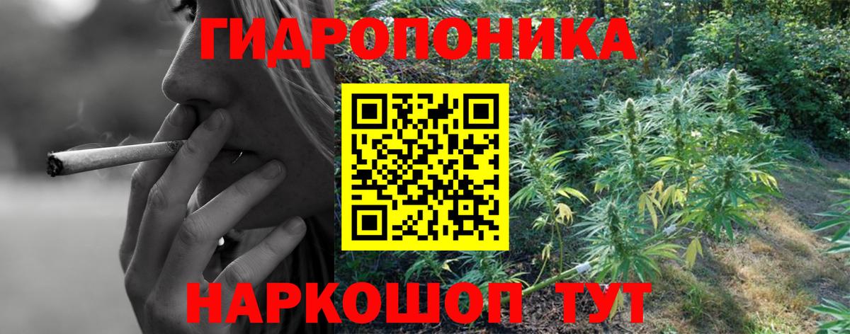 Бошки марихуана гибрид Шали